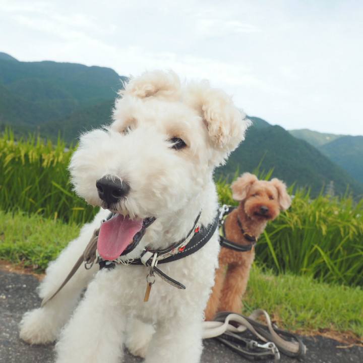 3451165d 81b0 43a0 ad8d 93170de2a7b6