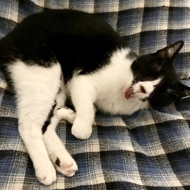 345143da f405 4661 98fb abd2b0396cdb