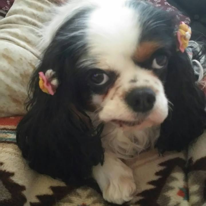 34519dd1 35a7 41e0 9154 5e70645e60d5