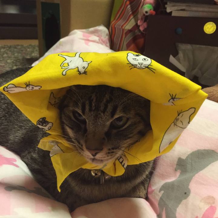 3452dbab 22a1 4685 8af7 ddad6a2e03eb