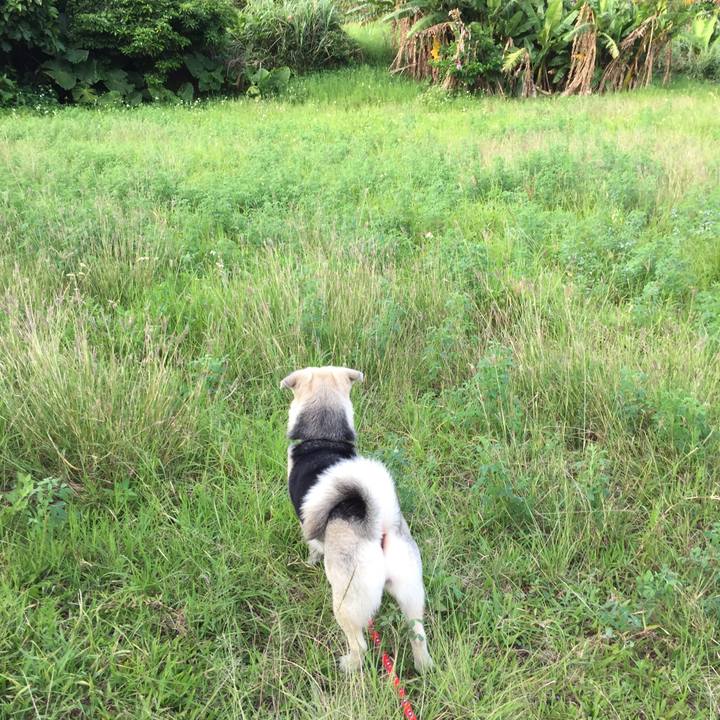 34536800 6e19 42cd b5bc f9fb450664e0