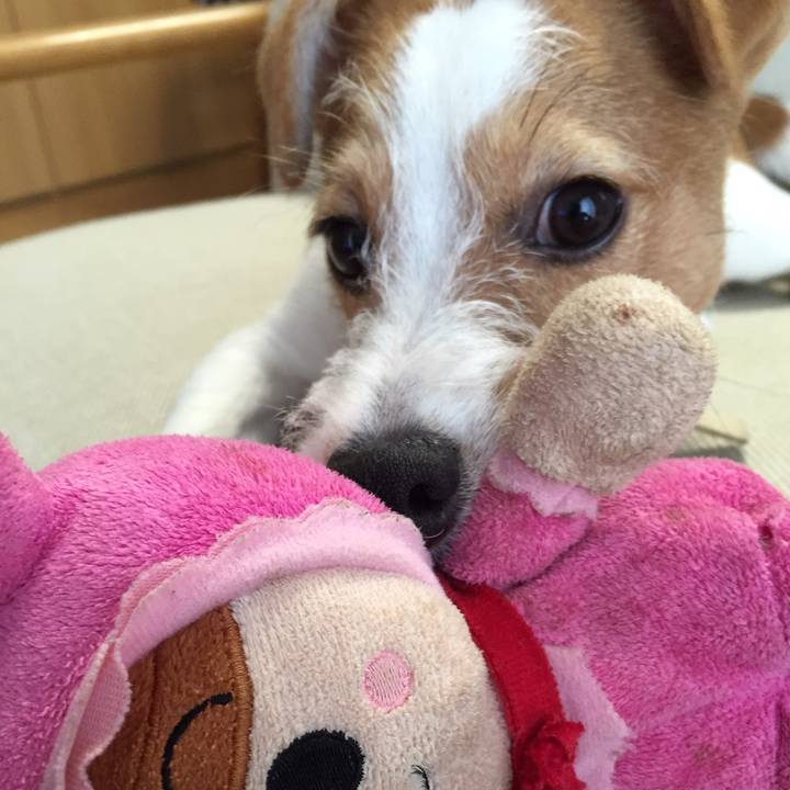 3453b0bb cfac 42a3 ad27 8099831fe9ba