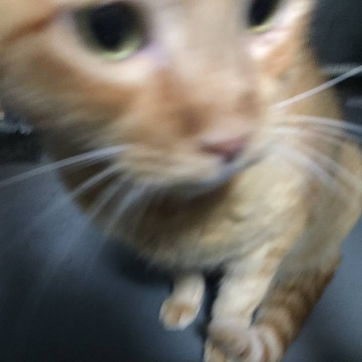 3453ccff 5b49 4db9 af68 c630dcd341f6