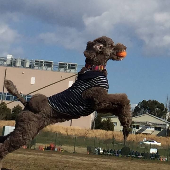 3454a692 b9d4 4701 9bdf 4721e6d2a857