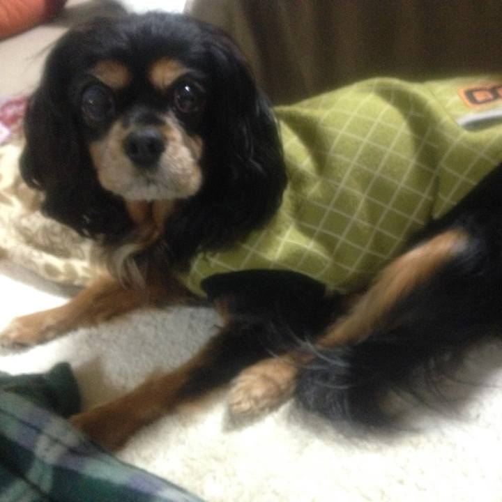 3455fabd a2c3 47f7 b265 101b36e1383d