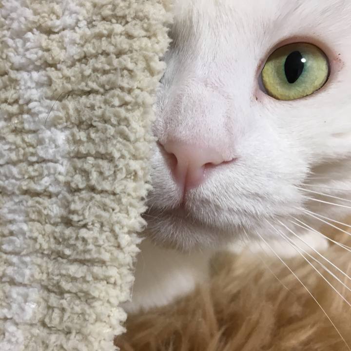 3456087d 3ebe 457d bd83 5e3cb515cb7b