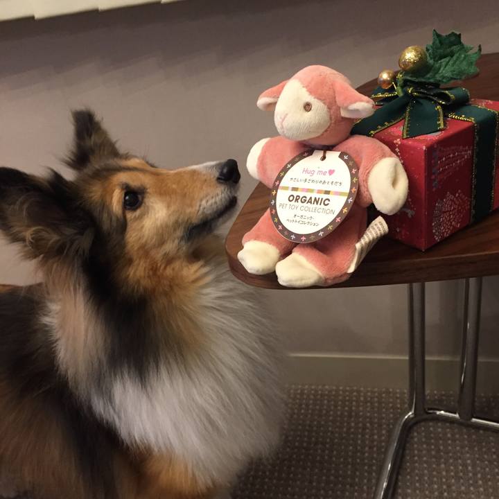 345789d6 8a59 44a9 a938 25b19e4f9b82