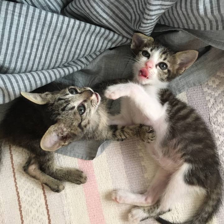 34578c9b 6467 48e0 a2f2 89e37741574f