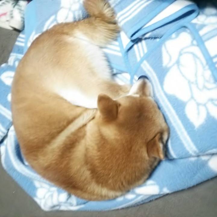 3459ffbc f31a 42ff 87a5 b1114f92fe30