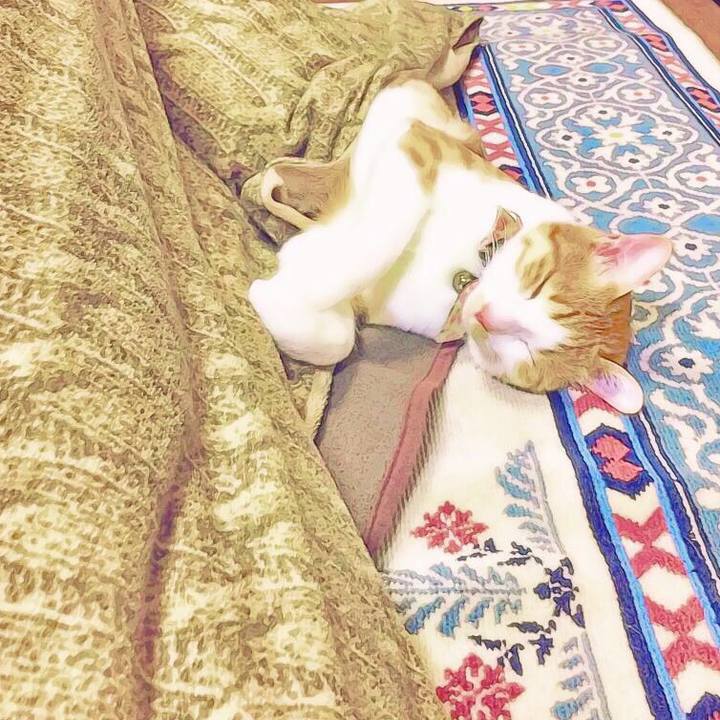 345a095e af36 4ef5 80f8 88cf5e02df9c