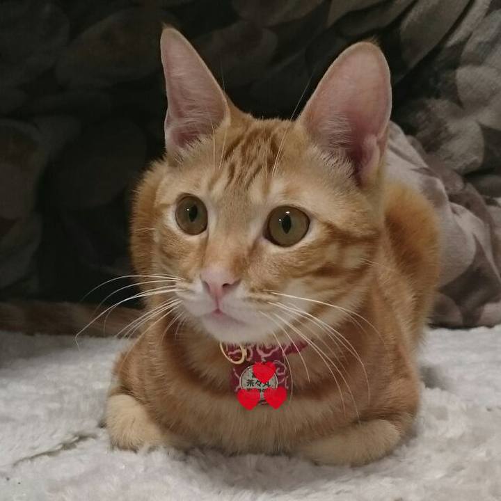 345a1657 2949 4e68 9385 49c850056f3f