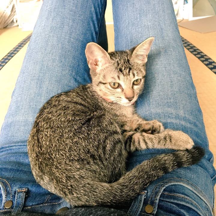 345b0787 6f25 4dd2 b8bd 6fd855ffcd61