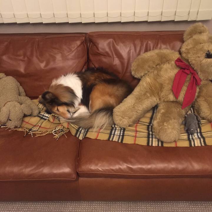 345bef67 29cc 4723 9369 d7a7b89752a0