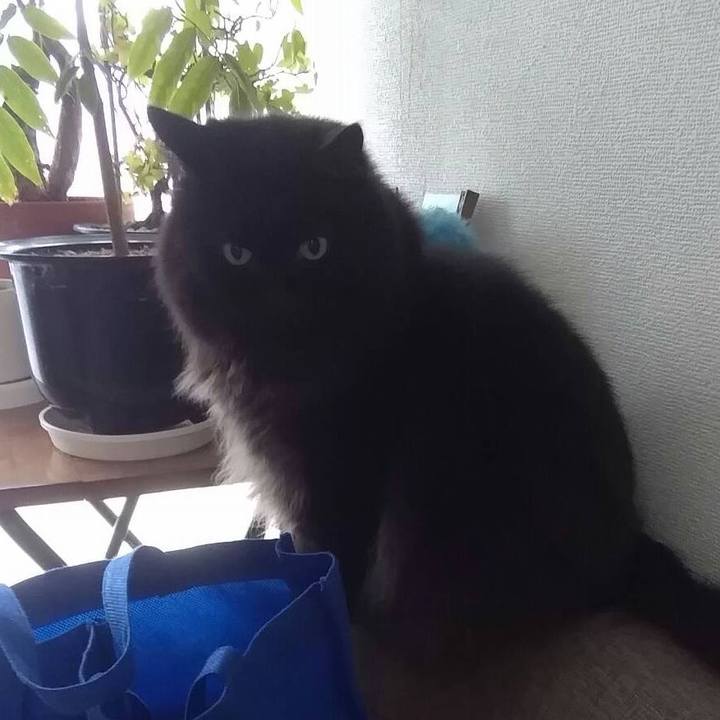 345c17af 50aa 4272 99fe 5e07433c5dac