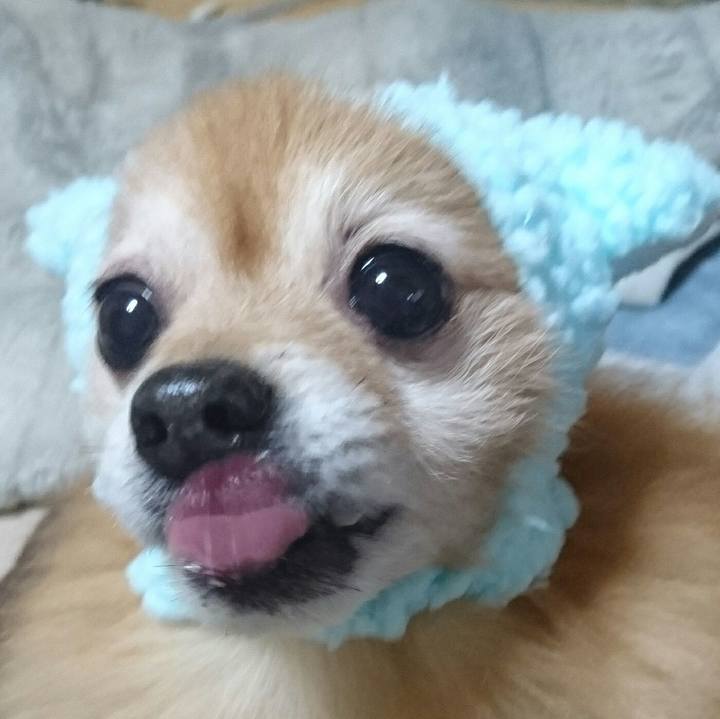 345c5224 7acd 4ee1 b782 d31442f349b2