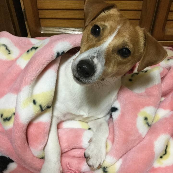 345c67fe c0fd 4789 b385 972e78e0493a