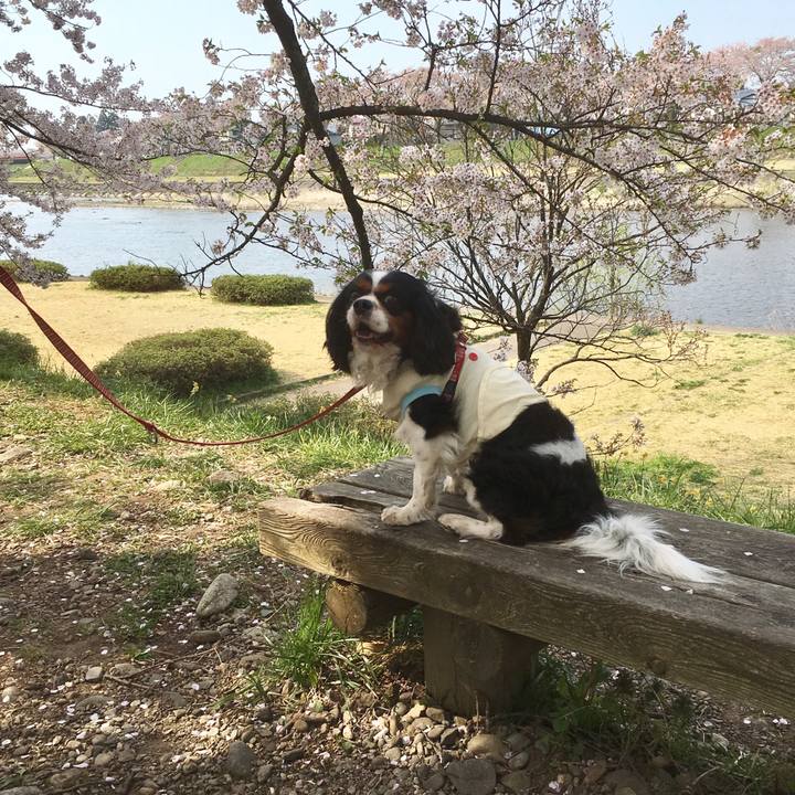 345cd256 e09c 45d1 a1d9 8b32b424bda1