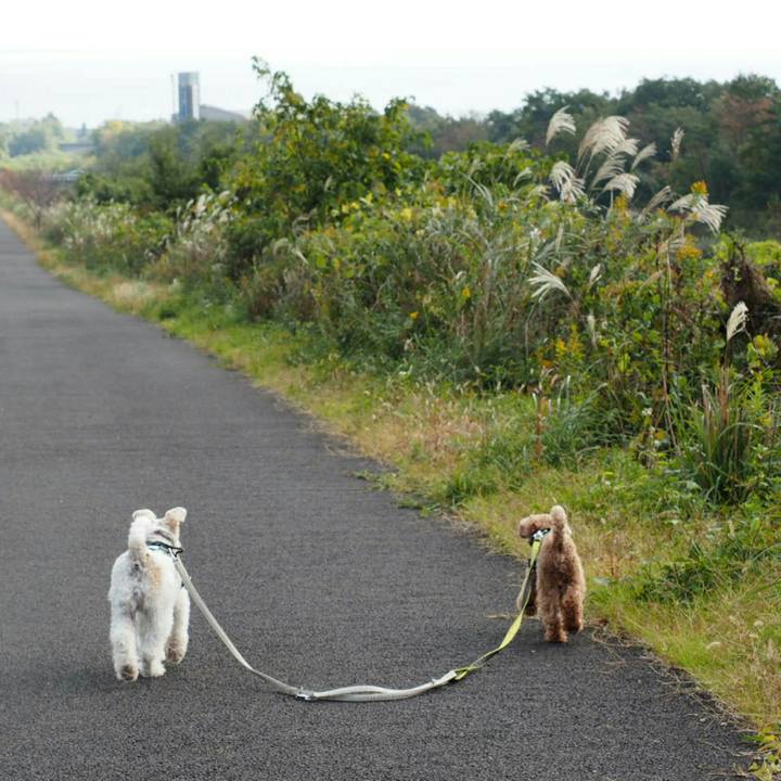 345cedf9 e76d 4e6e af28 5ef4cbfb9074