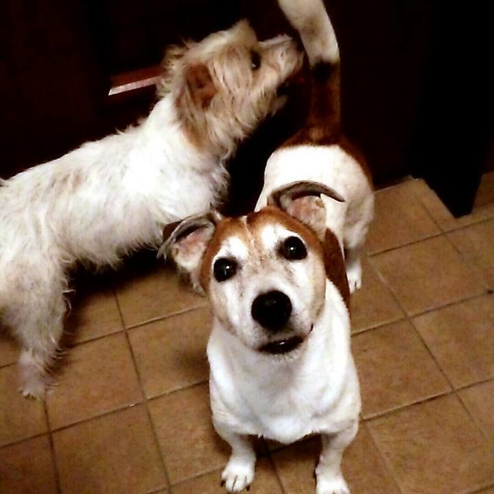 345dfe74 f465 4f7b b26e 5132c2a81fc1