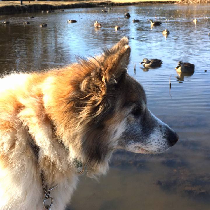 345f790c 8967 4469 a417 9fd02063a624