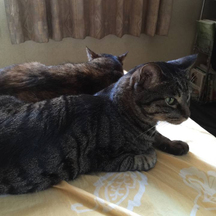 345f9ca6 e8b9 44fa a718 1d7eb14afb58