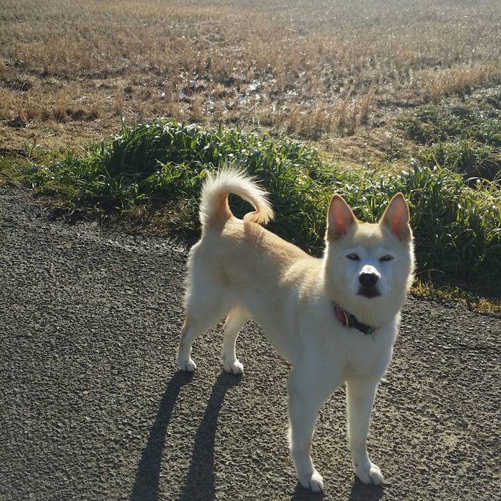 3460f6f8 c632 4447 a889 0b9e43309eb5