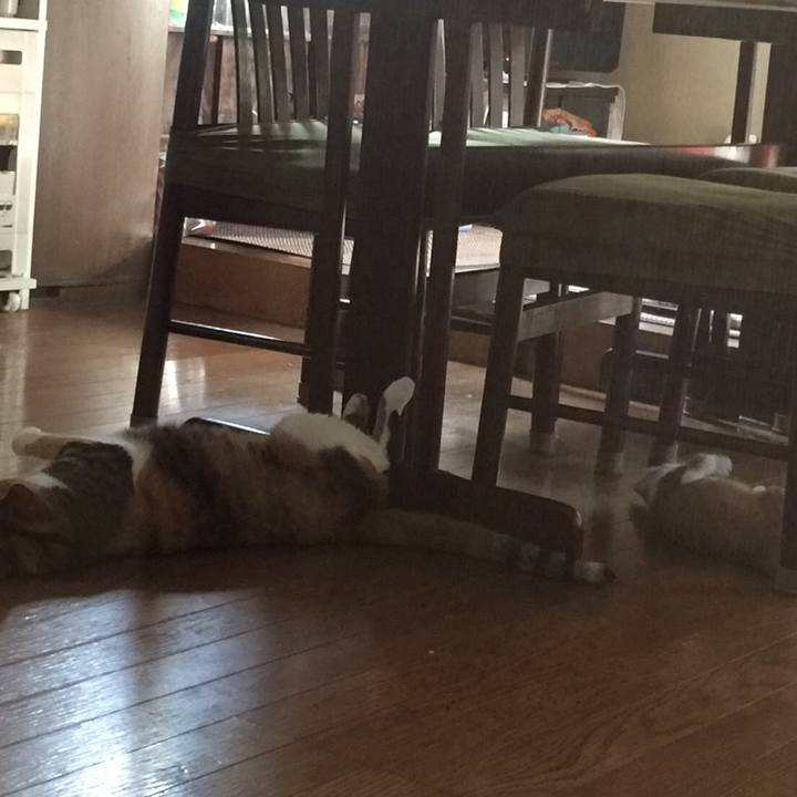 3461301e 08ba 455b b852 712cd97441ad