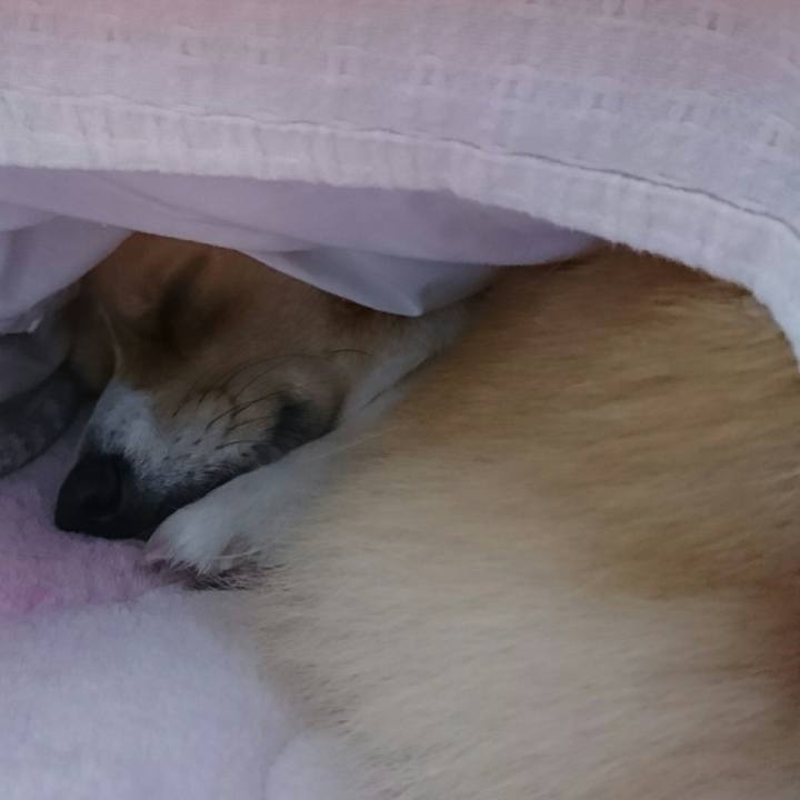 34620401 f65a 4657 992b eba19e97c454