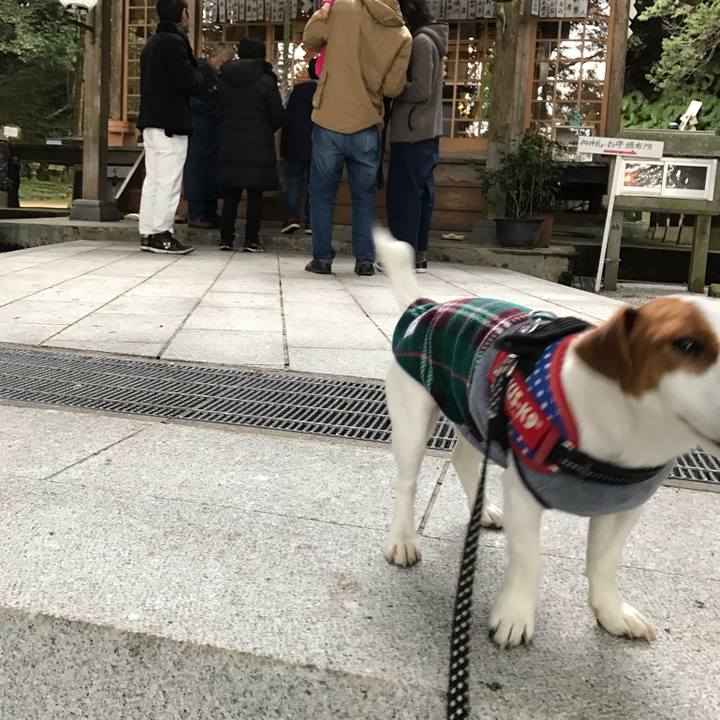 3462565f b881 497b bde1 ea237f1c95e3