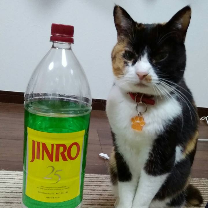 34630d89 1fa5 4ac0 ba5f 2cf0333c8bbb