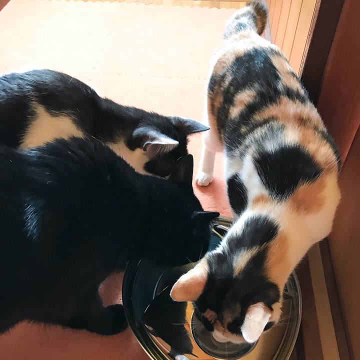 3463564b 6a89 45c8 b5c6 7bff55a9d5ff