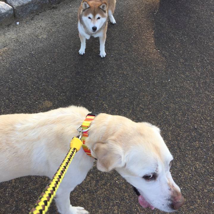 346385cb 9b43 4140 9c68 9ac8cde77b00