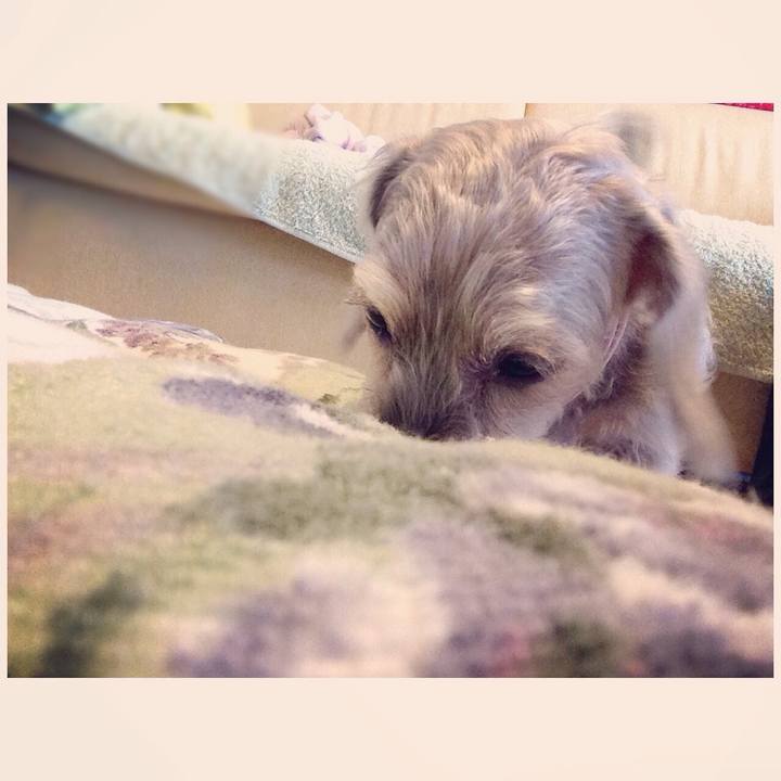 34638ce5 e0df 457b 9280 b06a6d184f49