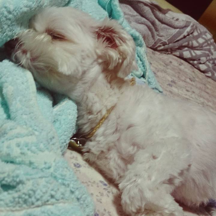 3464423b af03 488d 954f c5bcbf50839c