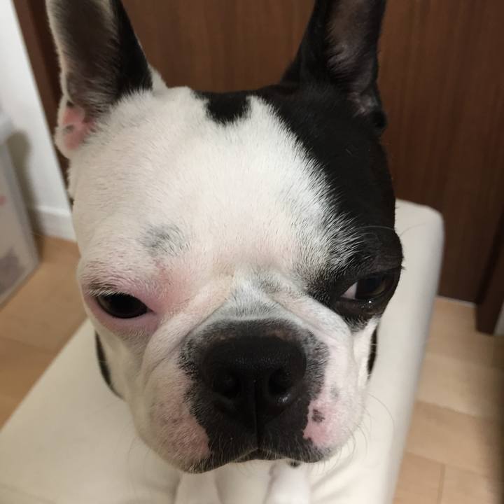 346590fd 511a 449d a1dd d3cf5e28421e