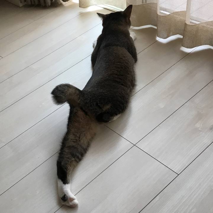 3465ba33 6d3d 4507 871d cffb85971268