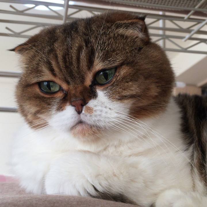 3465da2d c7d7 4b0e 9feb 8ebe7d43f188