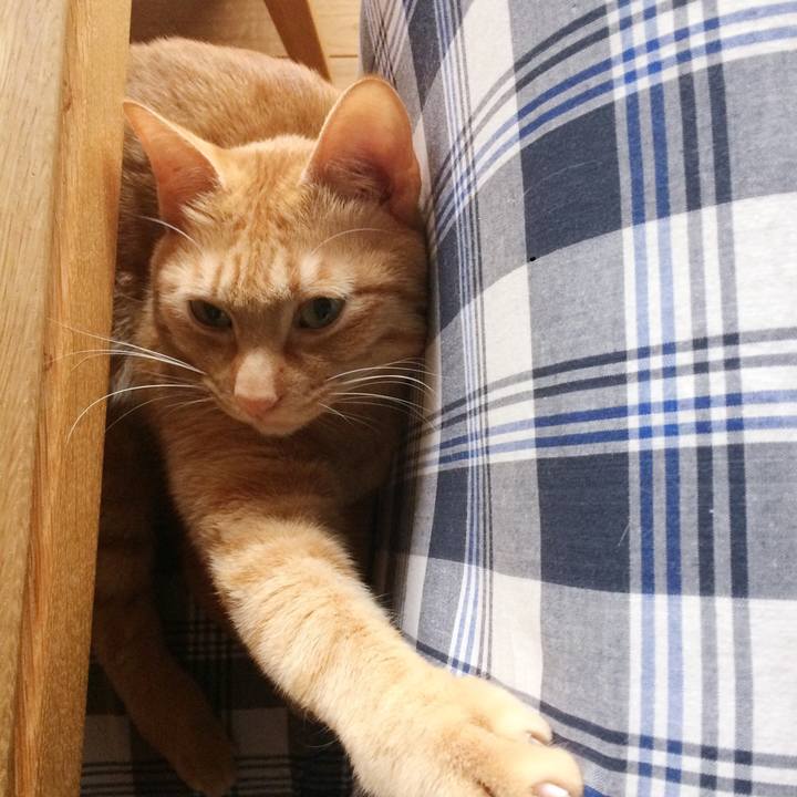 3465ebb9 59c7 4447 a050 3a734c7d5233