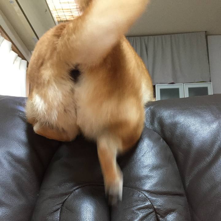 34661631 f4e1 47b1 a1aa f5eb4fcd5c16