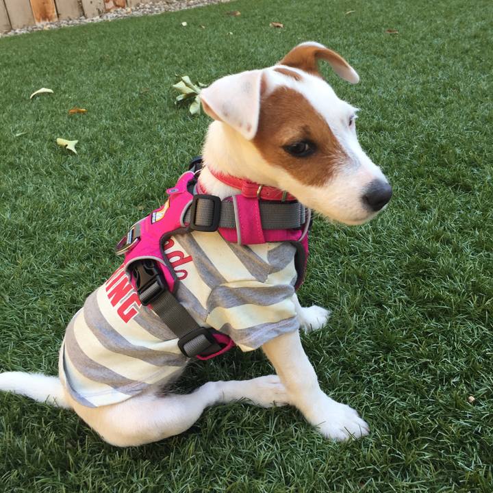 34666565 f0b9 4e10 8446 767d35bf39d0