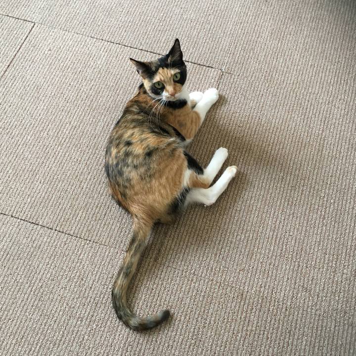 3466f39c 76c1 4494 b2e8 2bfb1de56d98