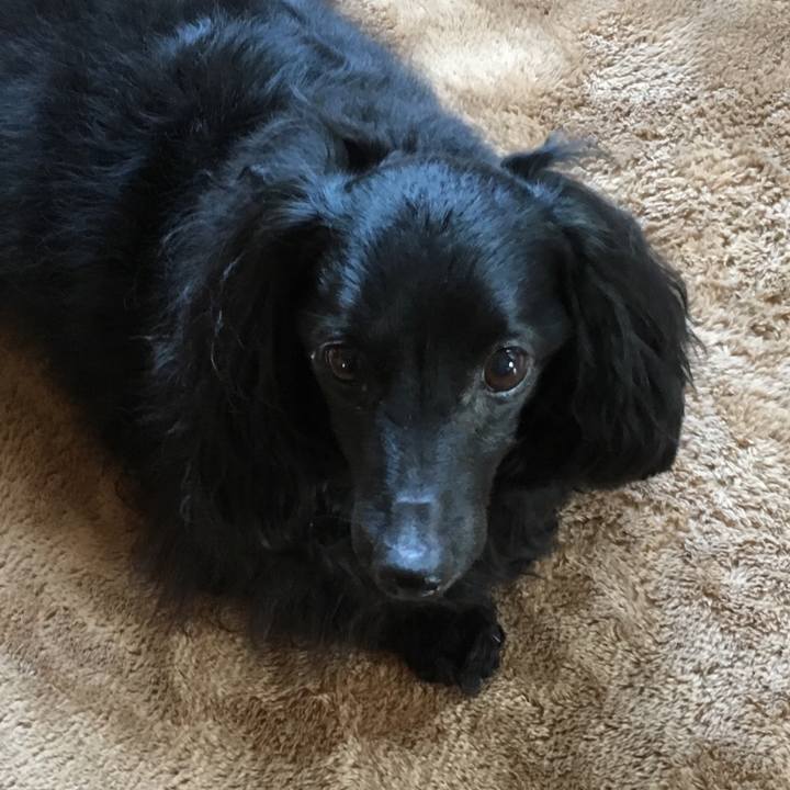 34675308 f825 4861 b746 f76c33a305bb