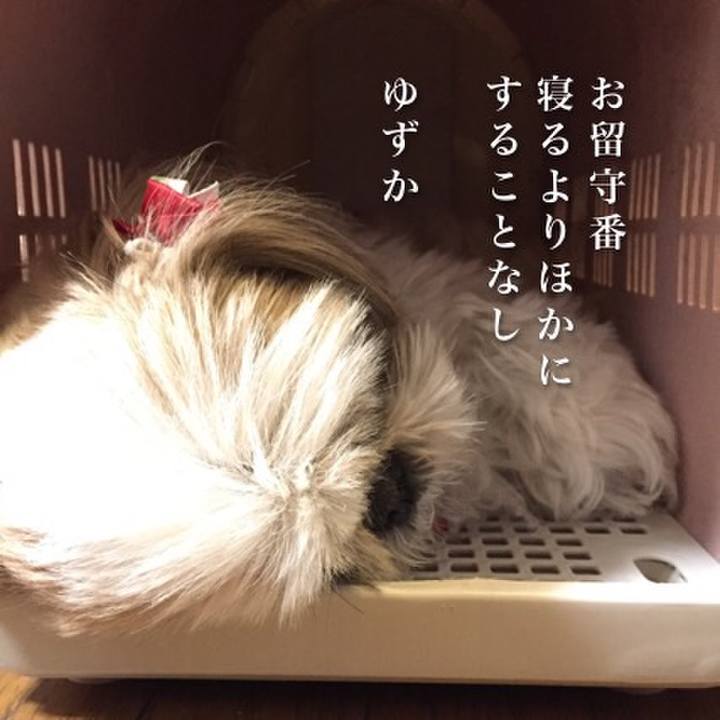 3467631e 9686 481f 90da b9a9f82c0e7a