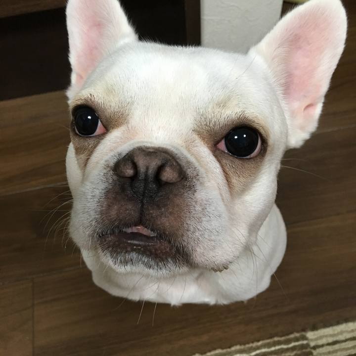 3467d267 0ac6 43c6 8571 14829f0bea6a