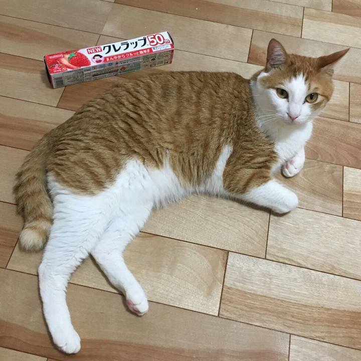 34685cc9 9961 42cb 9506 197119b591cd