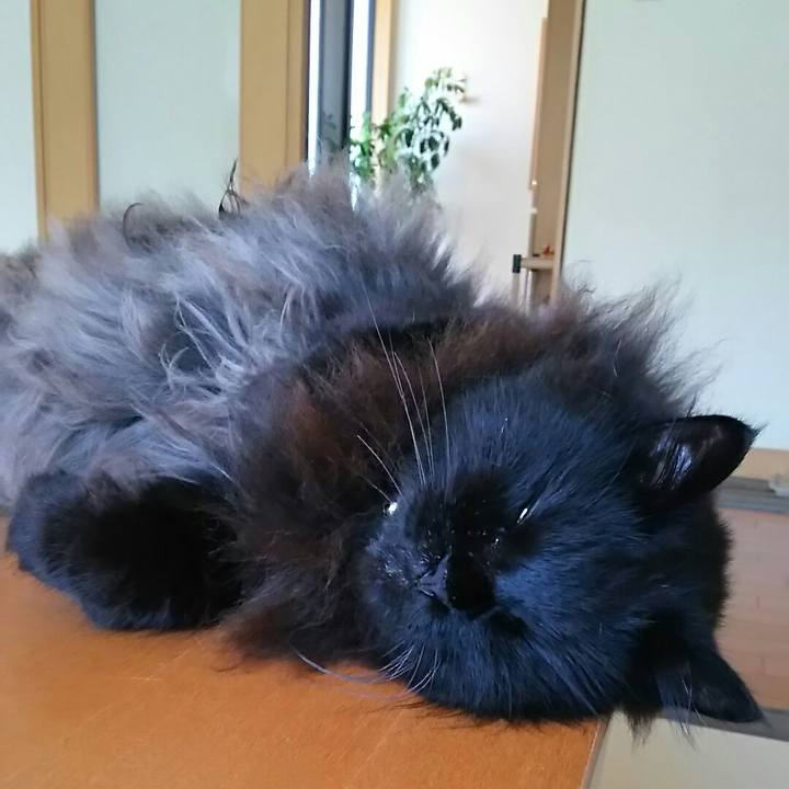 3468662c ad2e 4ff8 9702 7bb06e7ee3dd