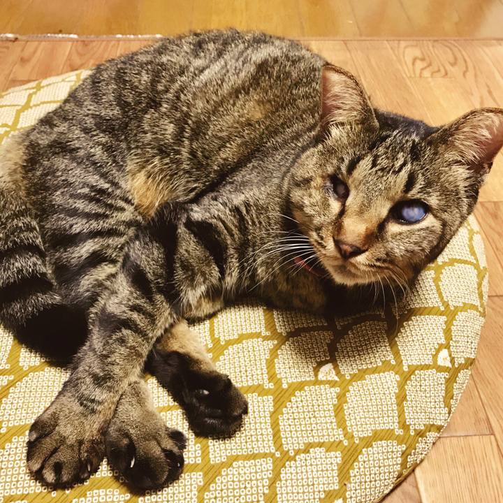 3468682a 14e2 4853 8eba 99ddc5ff446f