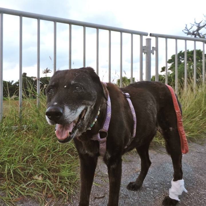 3468cdd6 6a30 4c3c a8bc ea61a05e62a0