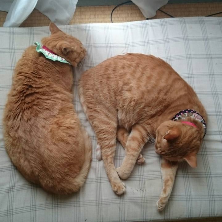 3468df93 5bd3 40cb b1fe b271462ee969