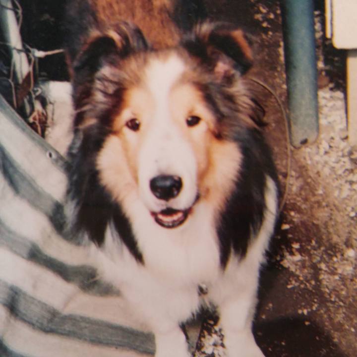 346980ae 157f 4caf 9877 408e1a1cd615